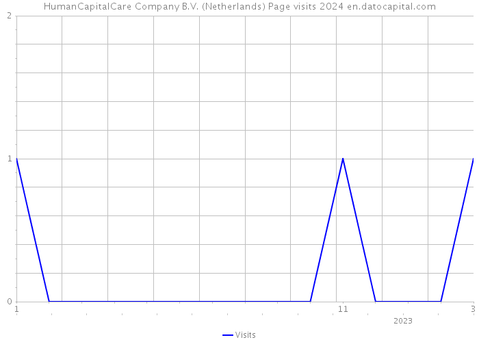 HumanCapitalCare Company B.V. (Netherlands) Page visits 2024 