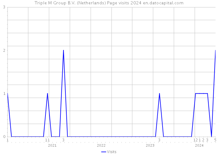 Triple M Group B.V. (Netherlands) Page visits 2024 