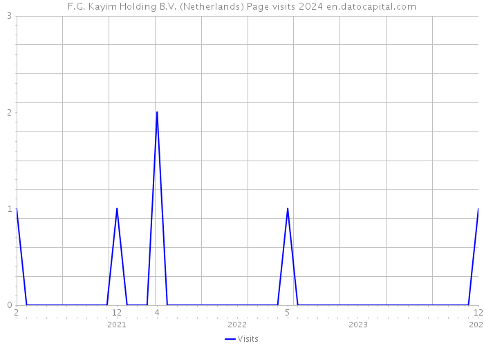 F.G. Kayim Holding B.V. (Netherlands) Page visits 2024 