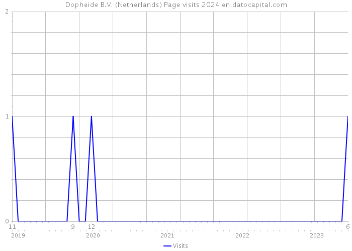 Dopheide B.V. (Netherlands) Page visits 2024 