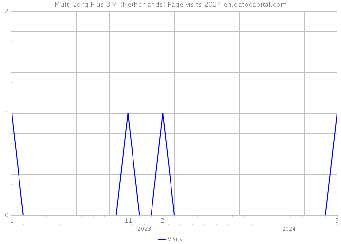 Multi Zorg Plus B.V. (Netherlands) Page visits 2024 