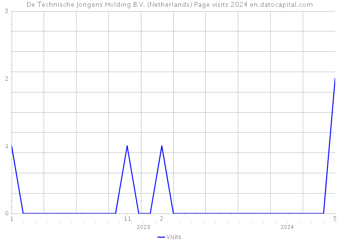 De Technische Jongens Holding B.V. (Netherlands) Page visits 2024 