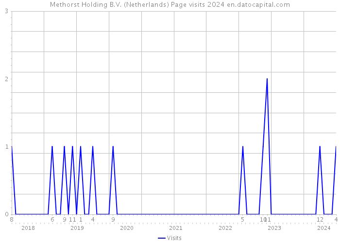 Methorst Holding B.V. (Netherlands) Page visits 2024 