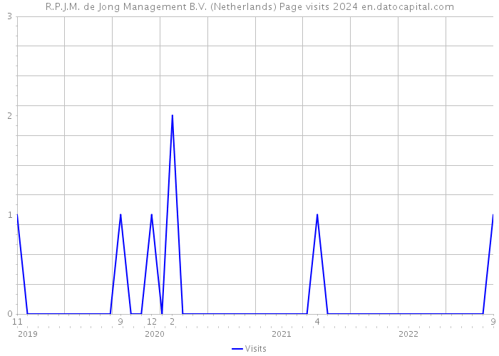R.P.J.M. de Jong Management B.V. (Netherlands) Page visits 2024 