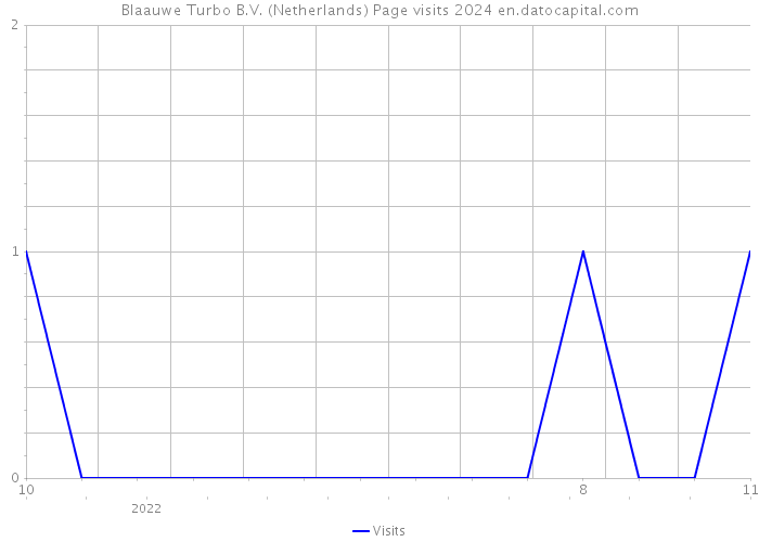 Blaauwe Turbo B.V. (Netherlands) Page visits 2024 