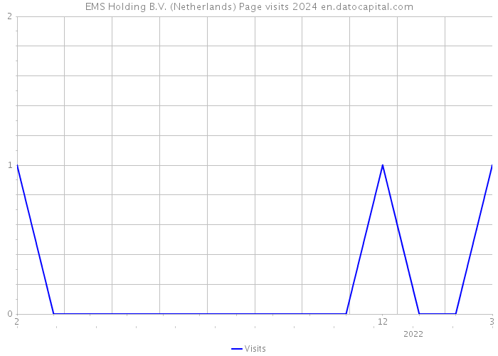 EMS Holding B.V. (Netherlands) Page visits 2024 