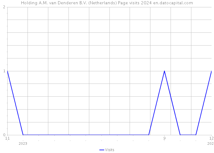 Holding A.M. van Denderen B.V. (Netherlands) Page visits 2024 