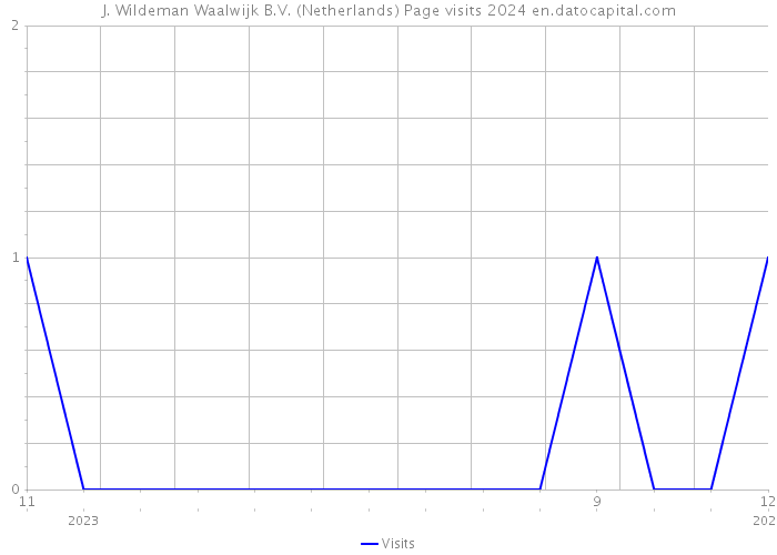 J. Wildeman Waalwijk B.V. (Netherlands) Page visits 2024 