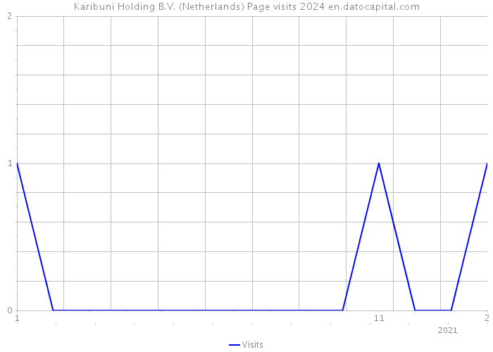 Karibuni Holding B.V. (Netherlands) Page visits 2024 