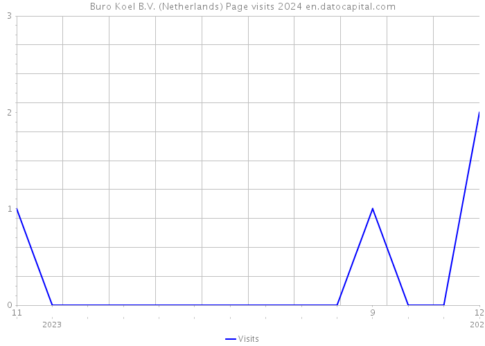 Buro Koel B.V. (Netherlands) Page visits 2024 