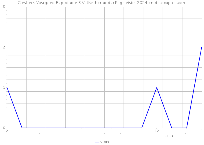 Giesbers Vastgoed Exploitatie B.V. (Netherlands) Page visits 2024 