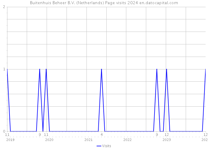Buitenhuis Beheer B.V. (Netherlands) Page visits 2024 
