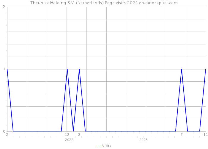 Theunisz Holding B.V. (Netherlands) Page visits 2024 