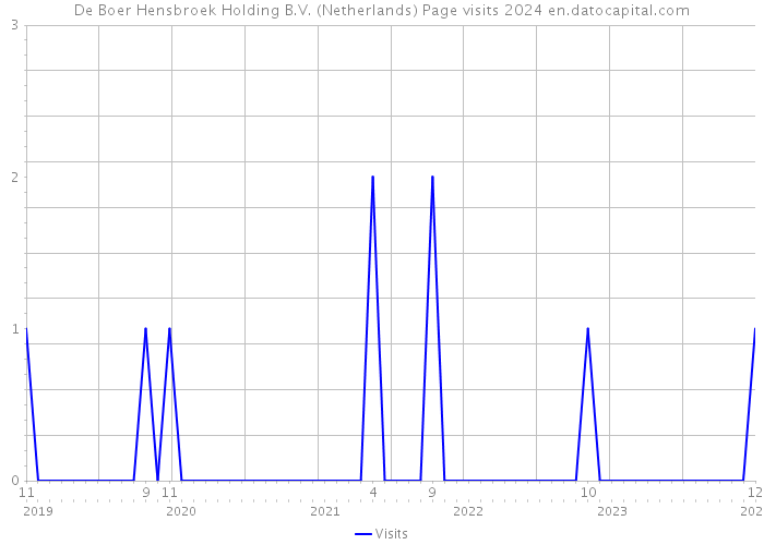 De Boer Hensbroek Holding B.V. (Netherlands) Page visits 2024 