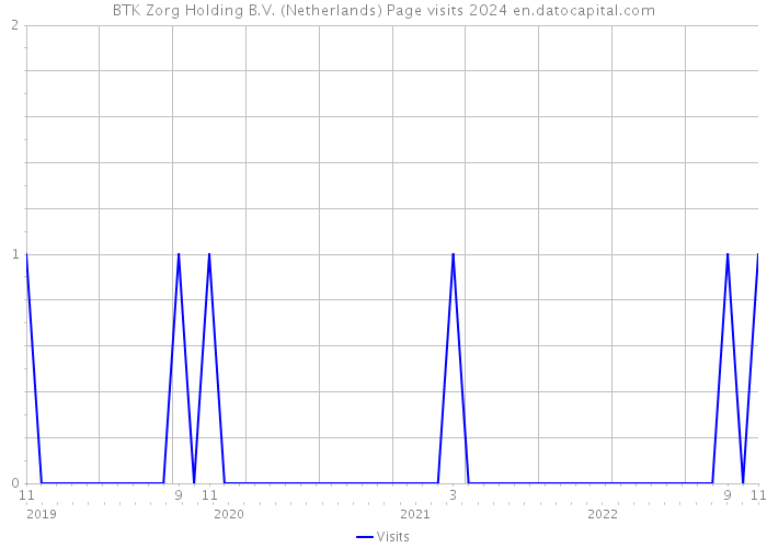 BTK Zorg Holding B.V. (Netherlands) Page visits 2024 