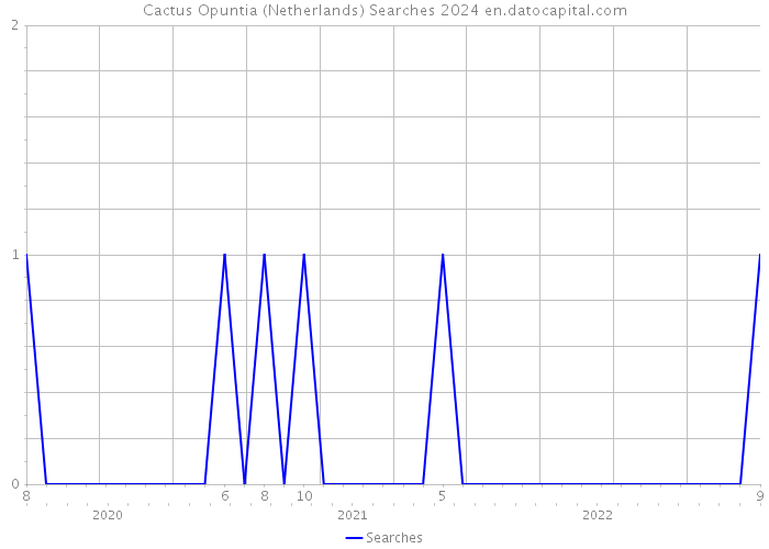 Cactus Opuntia (Netherlands) Searches 2024 