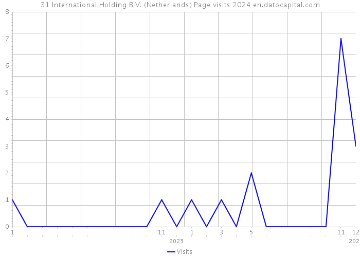 31 International Holding B.V. (Netherlands) Page visits 2024 