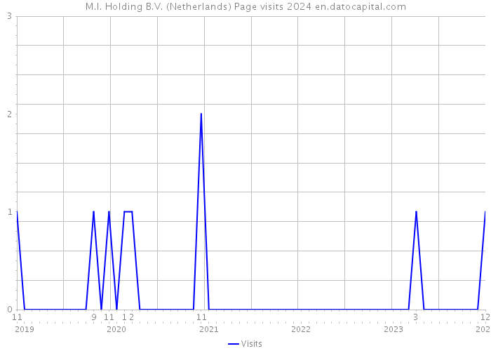 M.I. Holding B.V. (Netherlands) Page visits 2024 