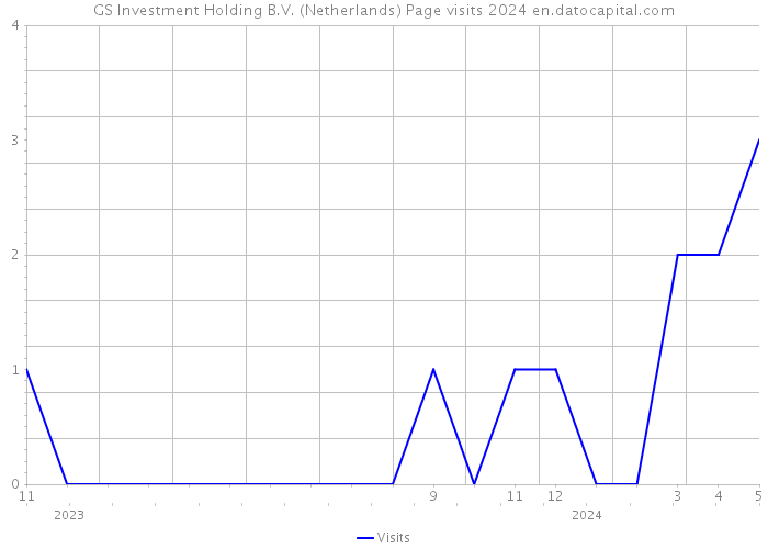 GS Investment Holding B.V. (Netherlands) Page visits 2024 