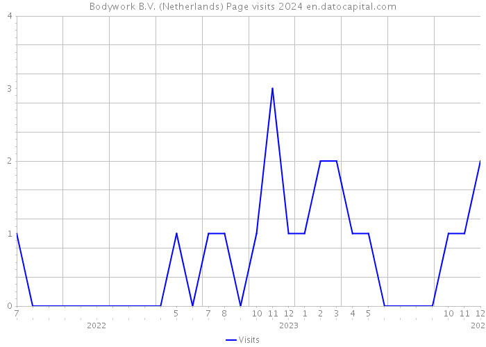 Bodywork B.V. (Netherlands) Page visits 2024 