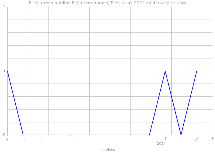 R. Vuurman holding B.V. (Netherlands) Page visits 2024 