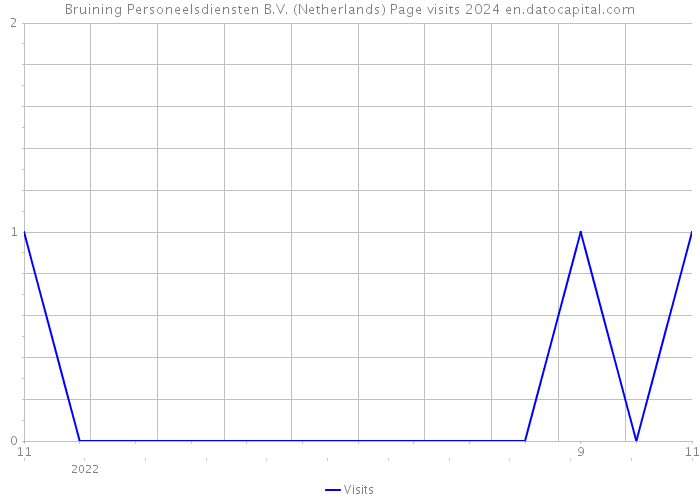 Bruining Personeelsdiensten B.V. (Netherlands) Page visits 2024 