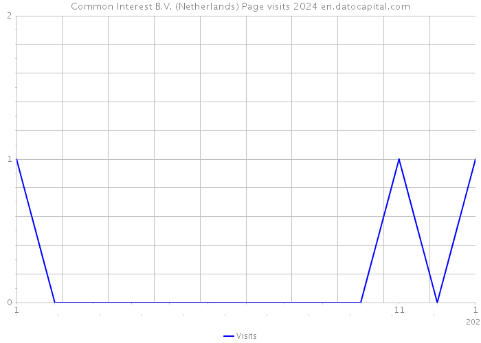 Common Interest B.V. (Netherlands) Page visits 2024 