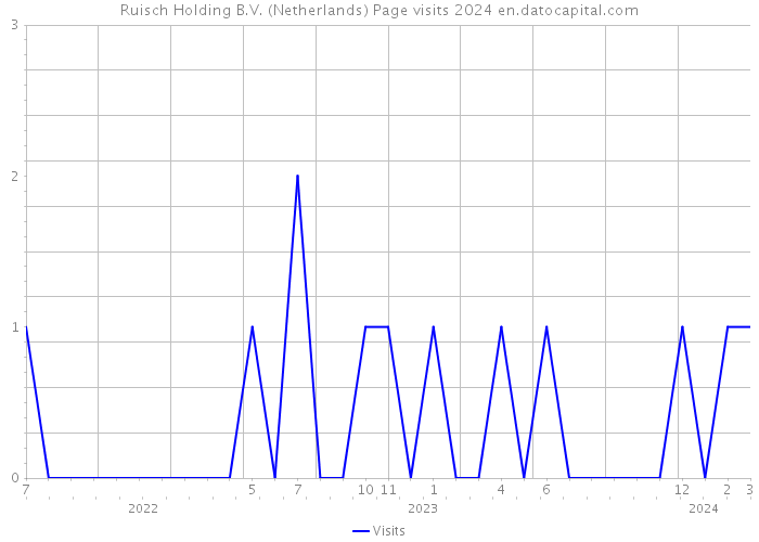 Ruisch Holding B.V. (Netherlands) Page visits 2024 