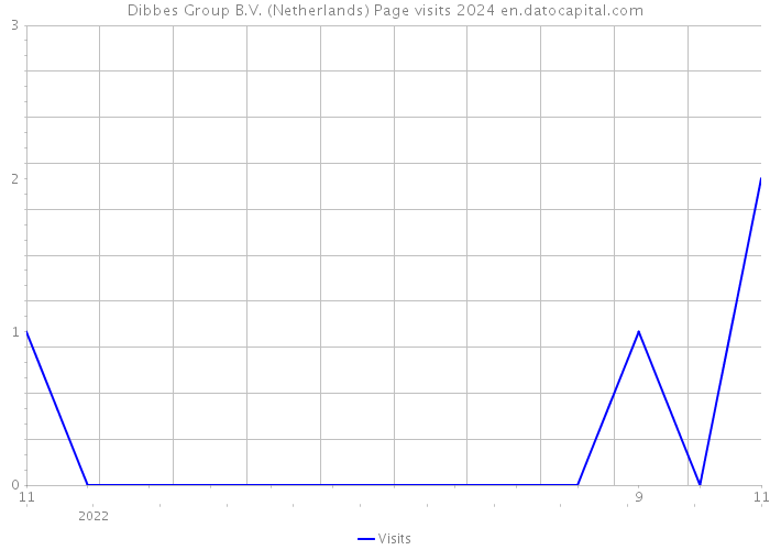 Dibbes Group B.V. (Netherlands) Page visits 2024 