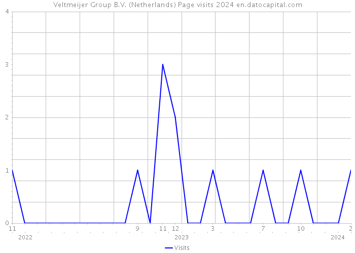 Veltmeijer Group B.V. (Netherlands) Page visits 2024 