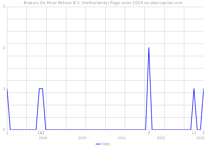 Brabers De Moer Beheer B.V. (Netherlands) Page visits 2024 