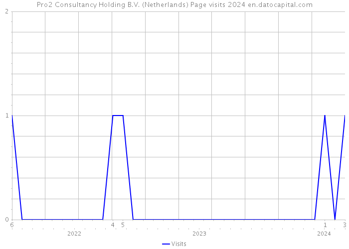 Pro2 Consultancy Holding B.V. (Netherlands) Page visits 2024 
