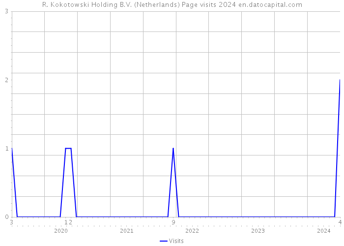 R. Kokotowski Holding B.V. (Netherlands) Page visits 2024 