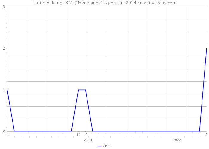 Turtle Holdings B.V. (Netherlands) Page visits 2024 