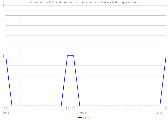 Nicodemus B.V. (Netherlands) Page visits 2024 
