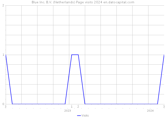 Blue Inc. B.V. (Netherlands) Page visits 2024 