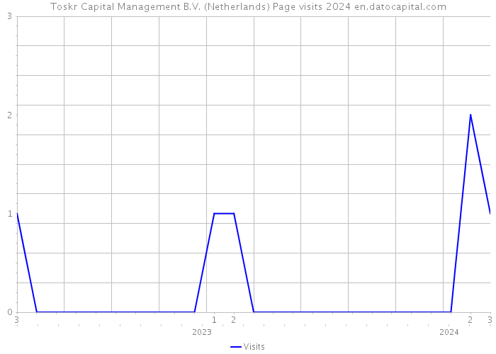 Toskr Capital Management B.V. (Netherlands) Page visits 2024 