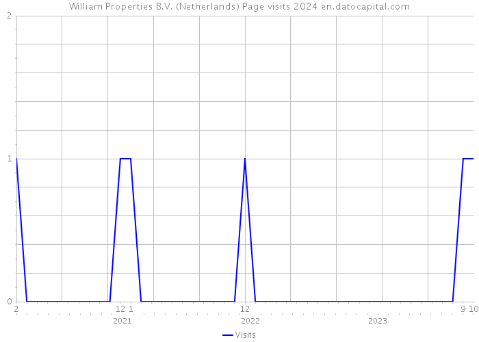 William Properties B.V. (Netherlands) Page visits 2024 