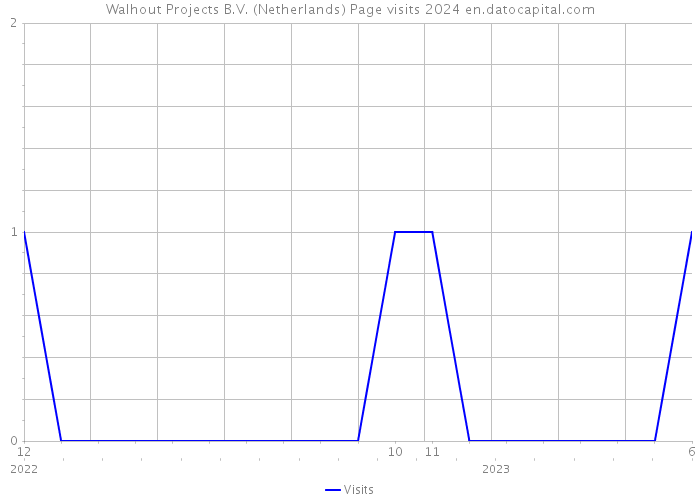 Walhout Projects B.V. (Netherlands) Page visits 2024 
