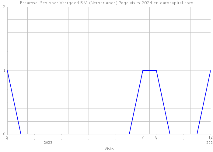 Braamse-Schipper Vastgoed B.V. (Netherlands) Page visits 2024 