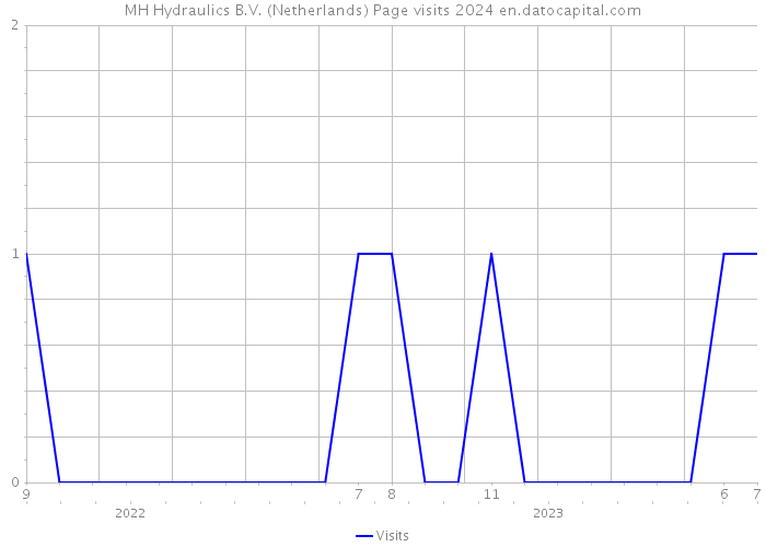 MH Hydraulics B.V. (Netherlands) Page visits 2024 
