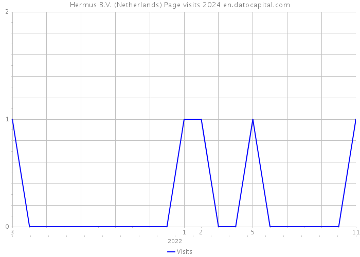 Hermus B.V. (Netherlands) Page visits 2024 