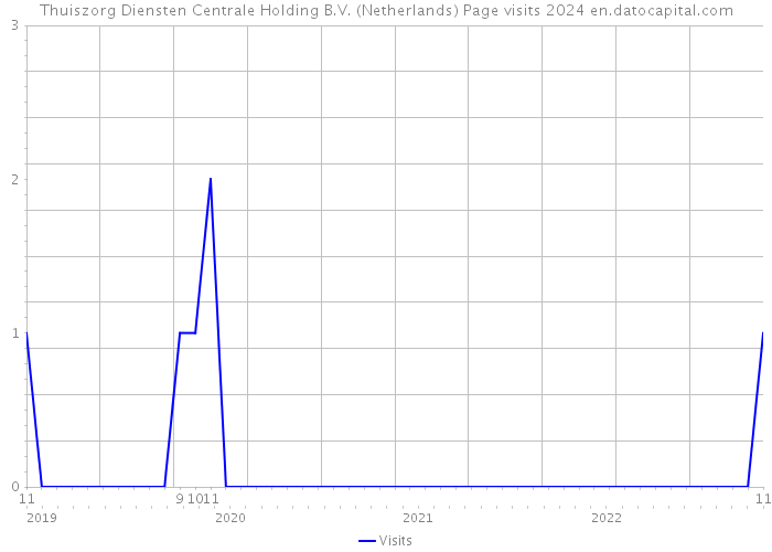 Thuiszorg Diensten Centrale Holding B.V. (Netherlands) Page visits 2024 