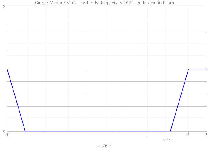 Ginger Media B.V. (Netherlands) Page visits 2024 