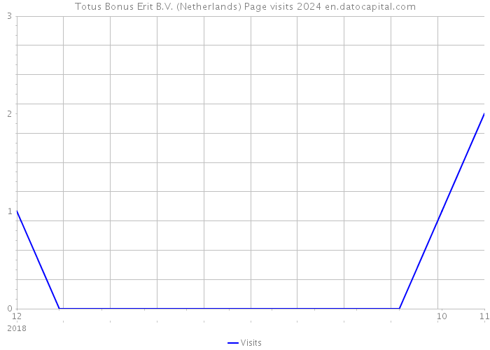 Totus Bonus Erit B.V. (Netherlands) Page visits 2024 