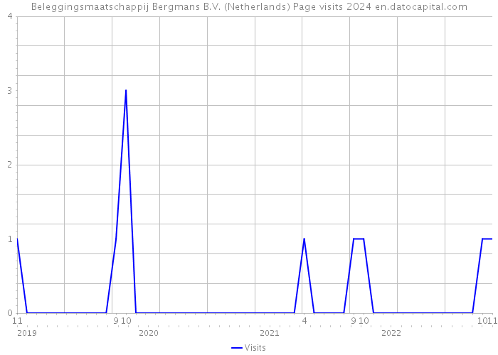 Beleggingsmaatschappij Bergmans B.V. (Netherlands) Page visits 2024 