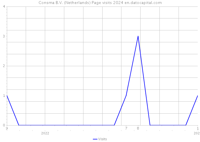 Consma B.V. (Netherlands) Page visits 2024 