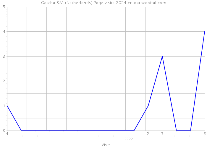 Gotcha B.V. (Netherlands) Page visits 2024 