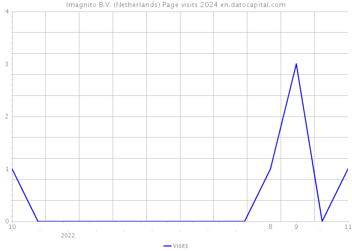 Imagnito B.V. (Netherlands) Page visits 2024 