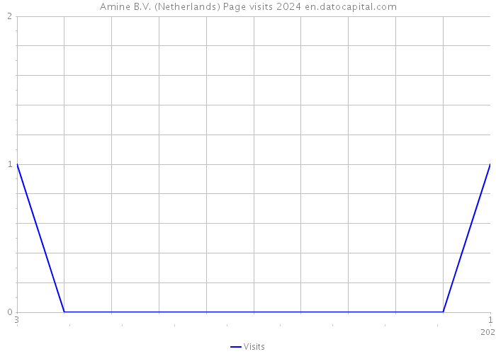 Amine B.V. (Netherlands) Page visits 2024 